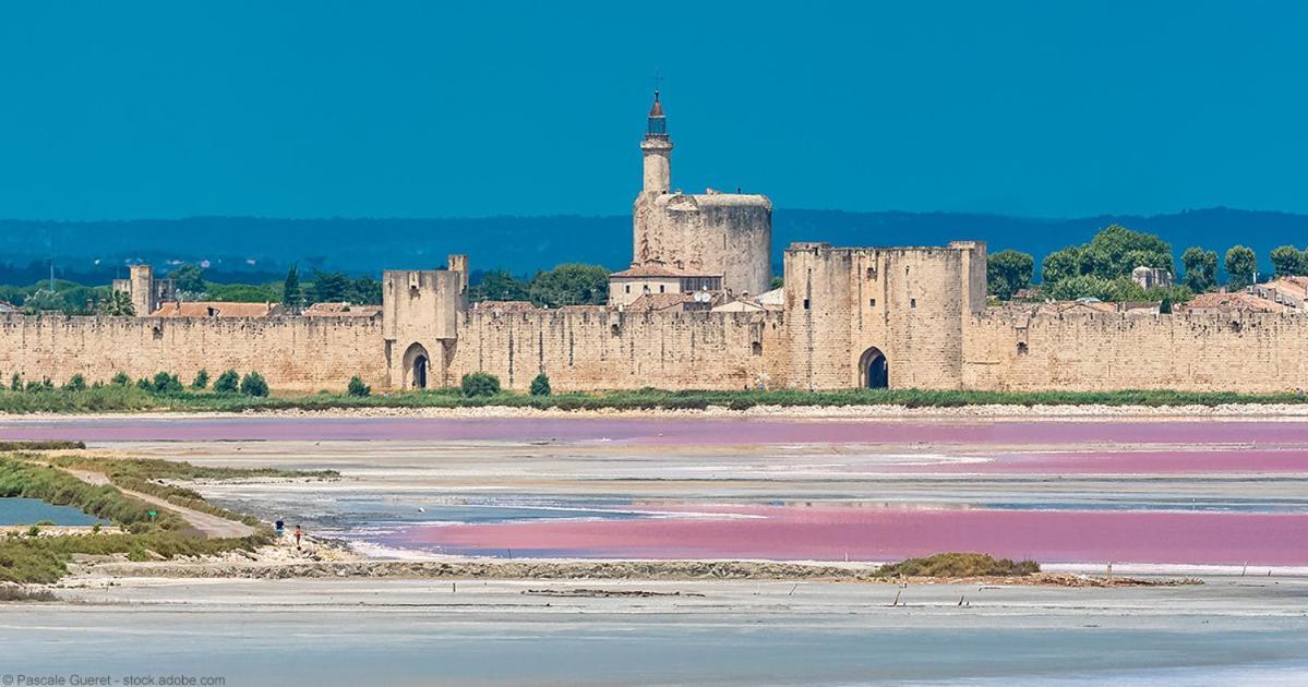Vacances En Camargue Proche De La Mer Climatise Aigues-Mortes Exterior photo
