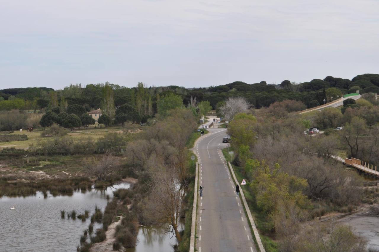 Vacances En Camargue Proche De La Mer Climatise Aigues-Mortes Exterior photo